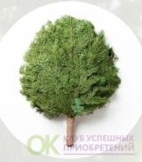 Пихтовый веник ПРЕМИУМ ( сплошная перевзанная ручка )